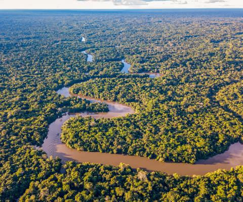 Tour the Amazon Rainforest