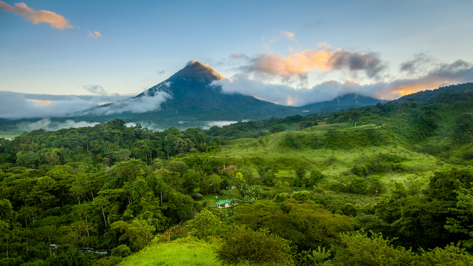 Five unforgettable wildlife encounters in Costa Rica