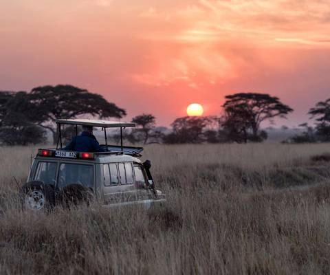 Bush to beach: a Tanzania & Zanzibar family adventure