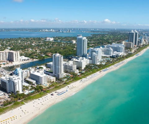 Music, Magic & Miami Nights
