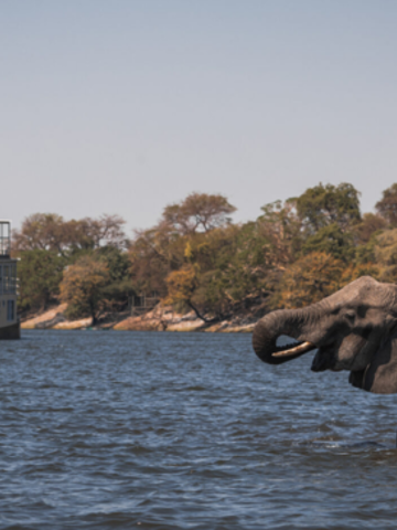 Chobe River: A Four-Night All-Inclusive Safari Experience