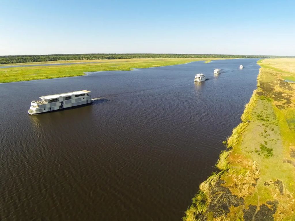 Experience the Ultimate River Safari on the Zambezi Queen
