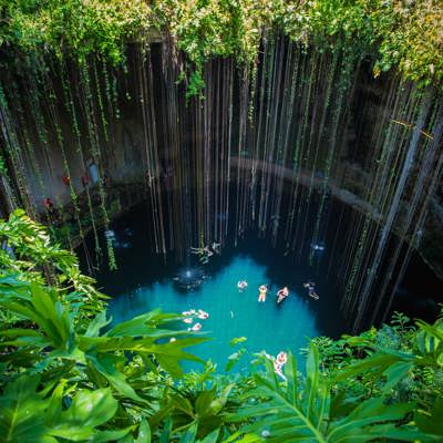 Swim in cenotes & with marine wildlife