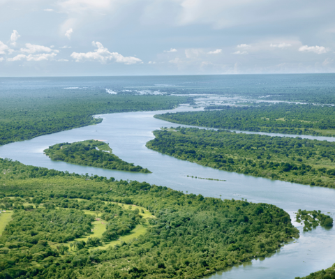 Walk and canoe in Mana Pools