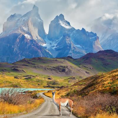 Discover wild Patagonia from Ushuaia