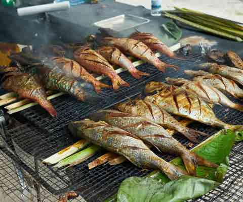 Grilled fish and seafood