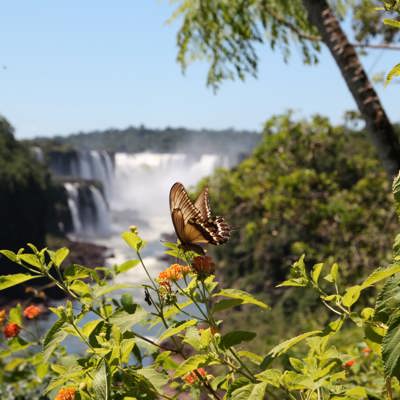 Marvel at Iguaçu Falls’ grandeur
