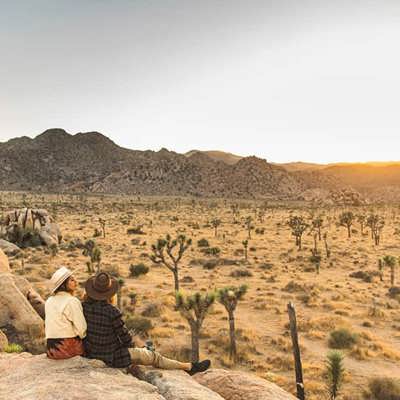 Venture into the wilderness
