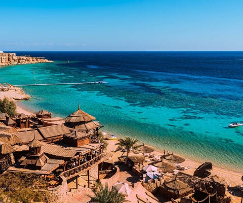 Dive the Red Sea