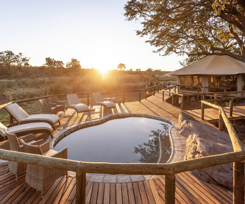 Deteema Springs