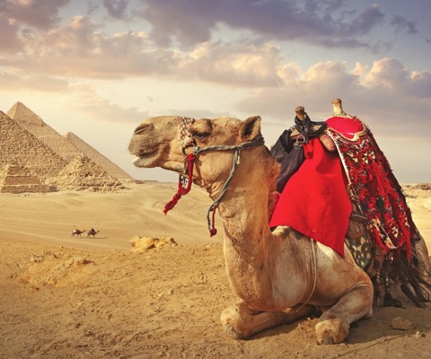 An Egyptian adventure