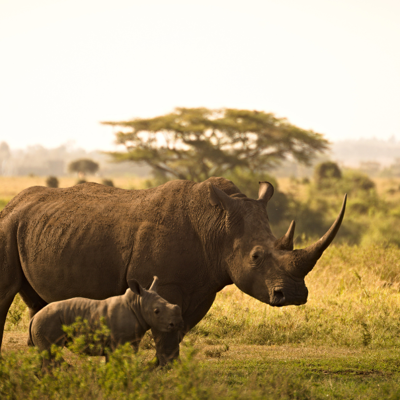 Discover the Matobo Hills