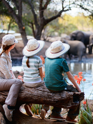 Track big game in Hwange National Park