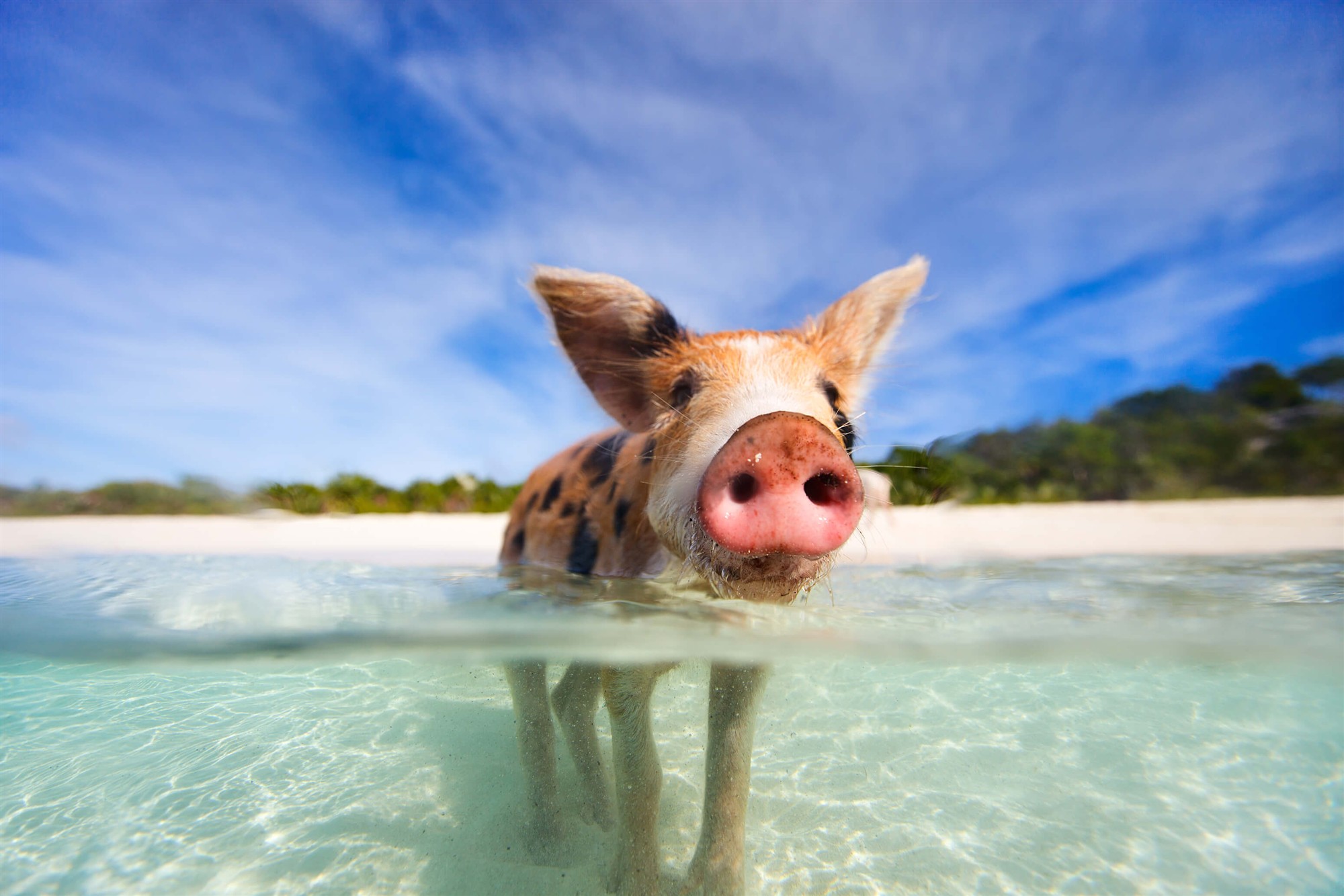 Incredible blue travel destinations to brighten up your Blue Monday