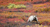 Where to travel in autumn