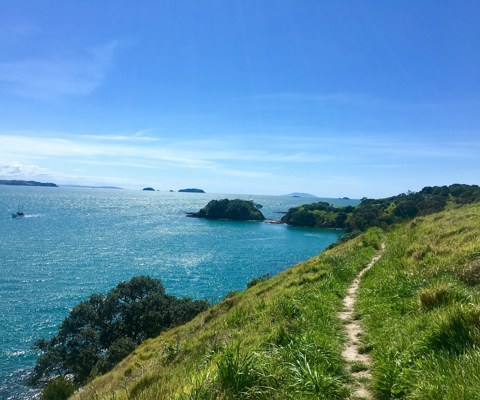 Waiheke Island for wine and walks