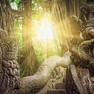 Urban energy to tropical tranquillity: Singapore & Bali