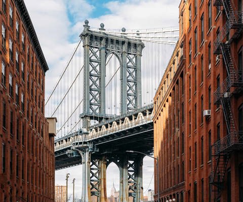 Explore iconic landmarks and skyline views