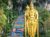 A Family Adventure in Malaysia