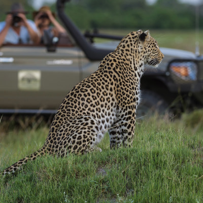 Six Nights in Zimbabwe: Wild Luxury at the Heart of Hwange