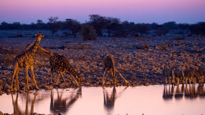 Namibia