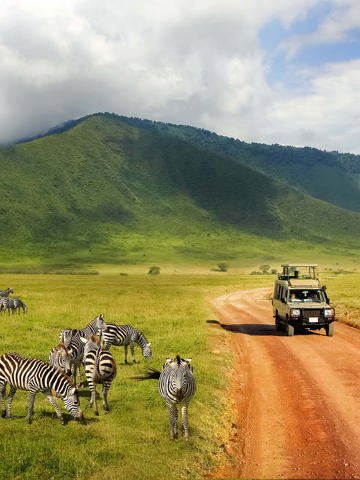Descend into Ngorongoro Crater