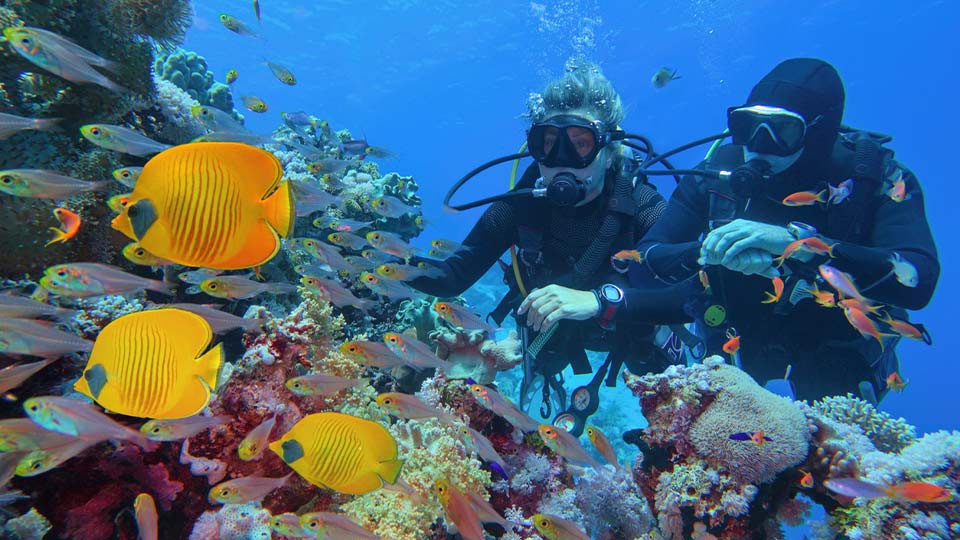 Dive the Great Barrier Reef