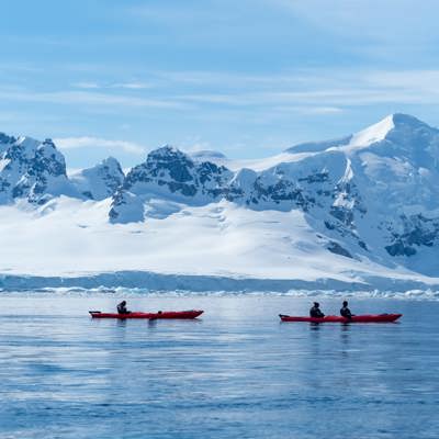 Cruise icebergs in Paradise Bay
