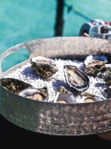 Coffin Bay Oyster Farm Tours – Eyre Peninsula