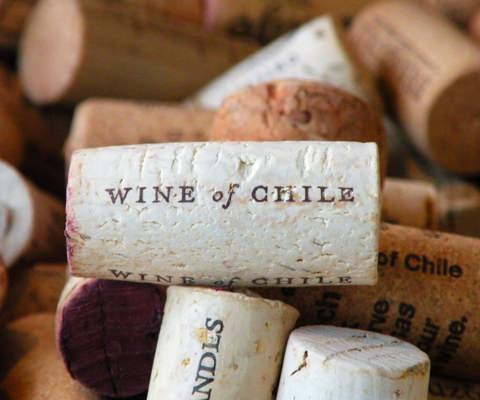 Explore Vineyards and Coastal Towns