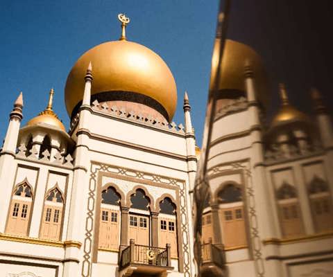 Explore ancient palaces
