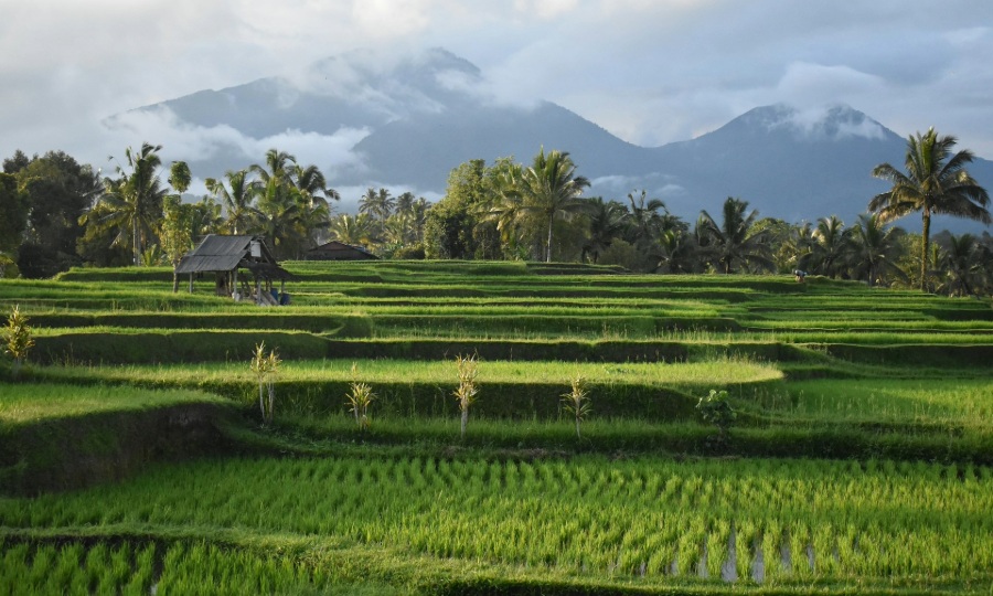 Beyond Bali: Discover Indonesia's hidden treasures in 2026