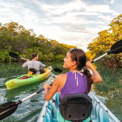 Glide through mangrove-lined waterways