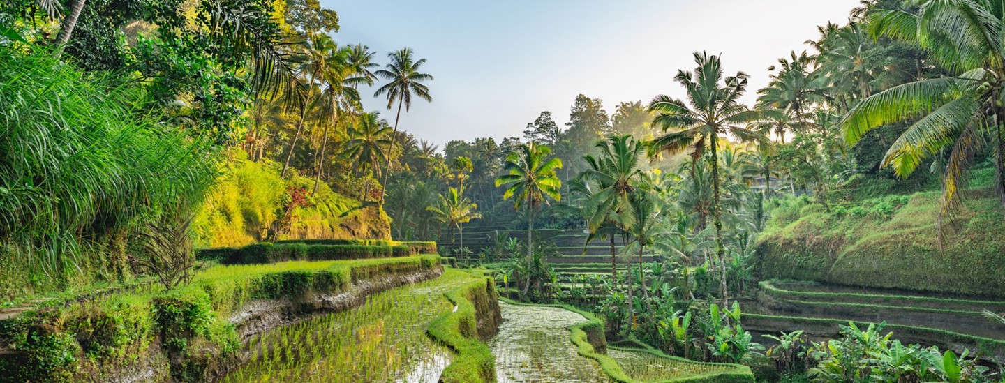 Bali Ss