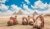 Journey through time with this 8-day Egyptian adventure.